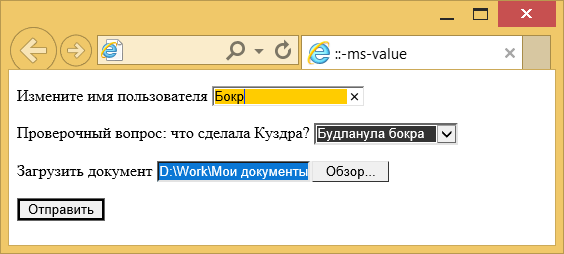 Вид элементов формы изменённых с помощью ::-ms-value